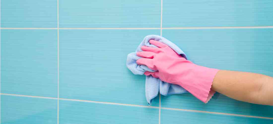 more about House Cleaning